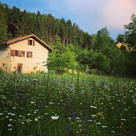 Alla Casetta B&B Cesiomaggiore Εξωτερικό φωτογραφία