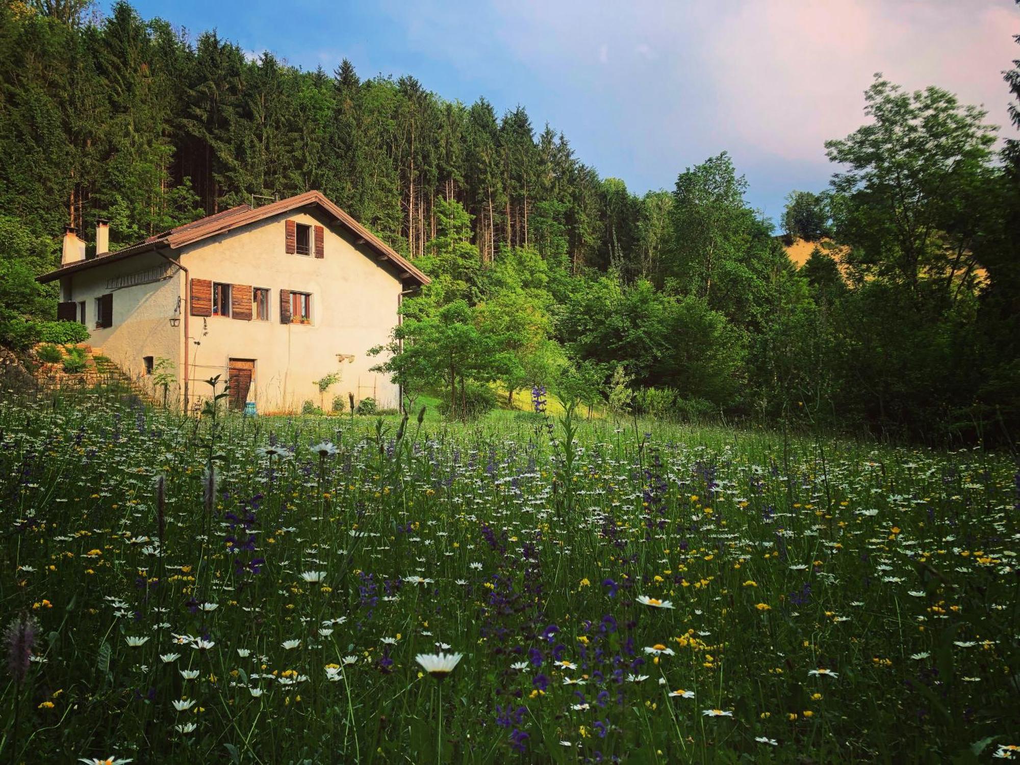 Alla Casetta B&B Cesiomaggiore Εξωτερικό φωτογραφία